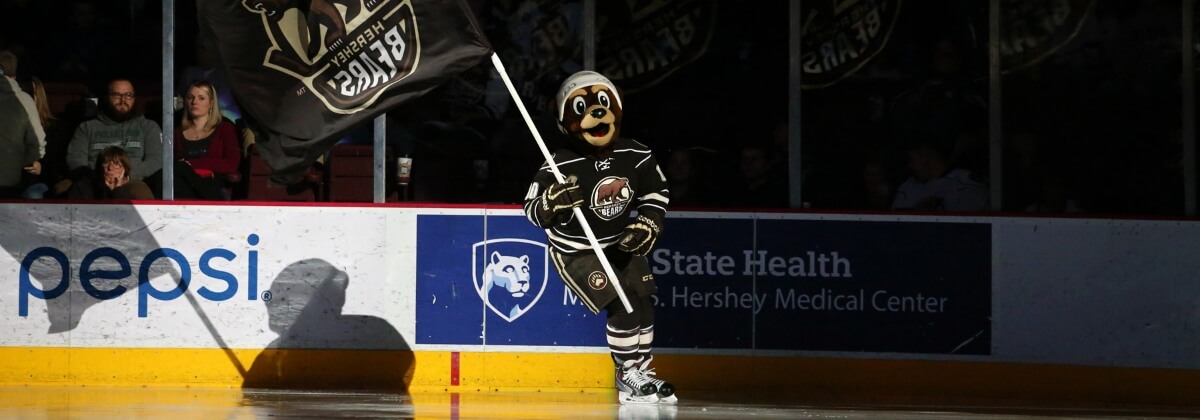 Coco the Bear Skating with the Bears Flag