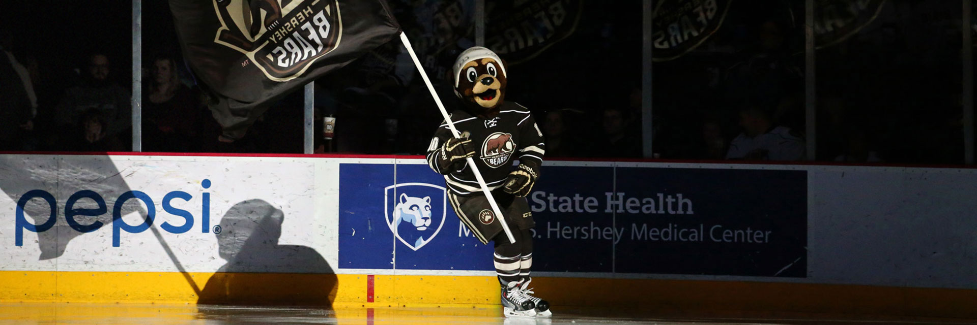 Coco the Bear skating with Bears flag