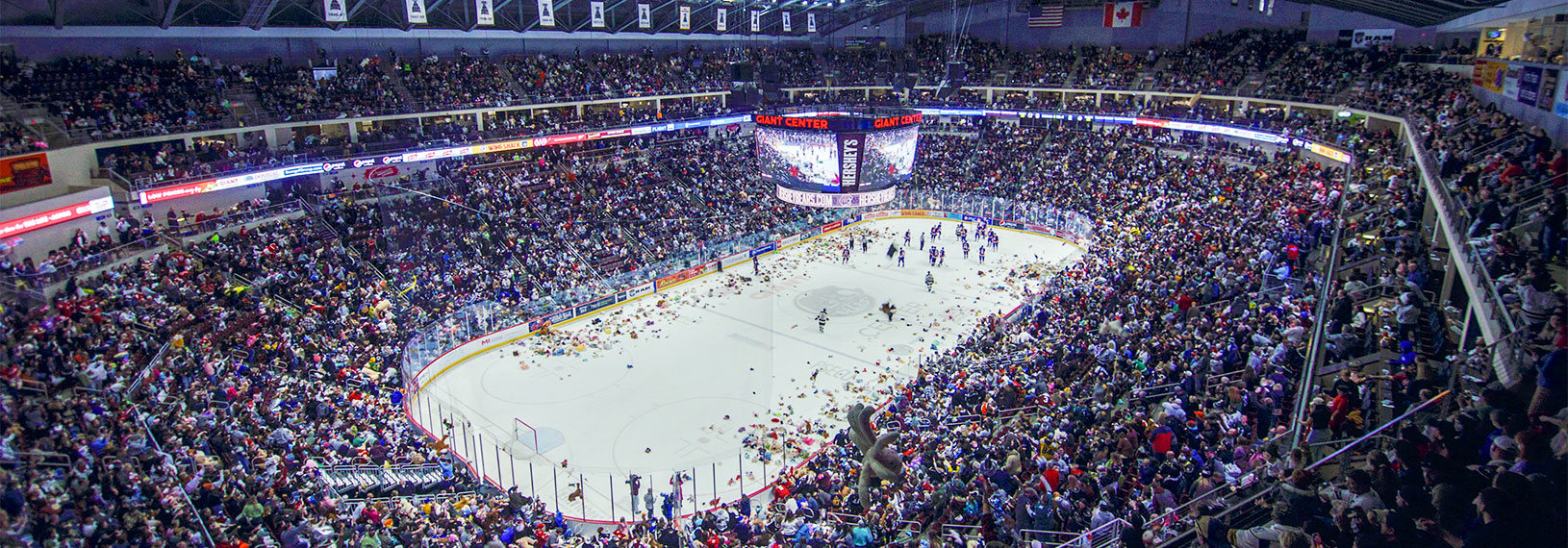 Hershey Bears fans watching hockey game in Hershey Bears hats