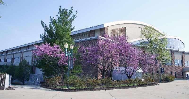 Giant Center