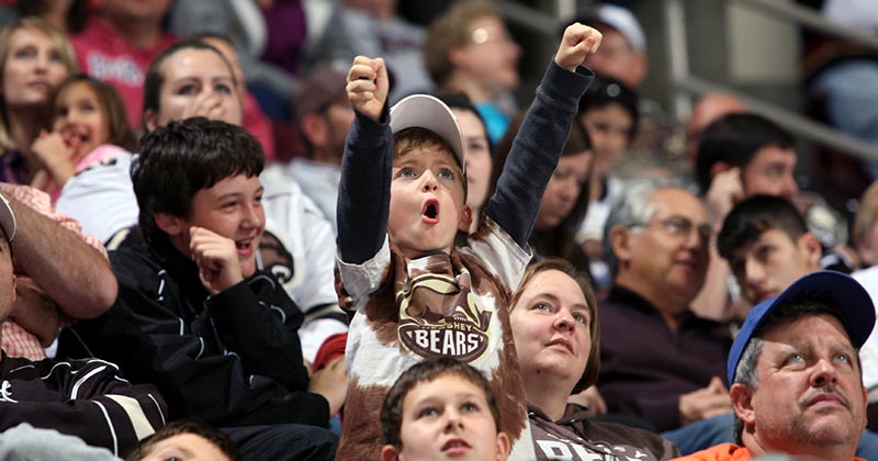 Hershey Bears Arena Seating Chart