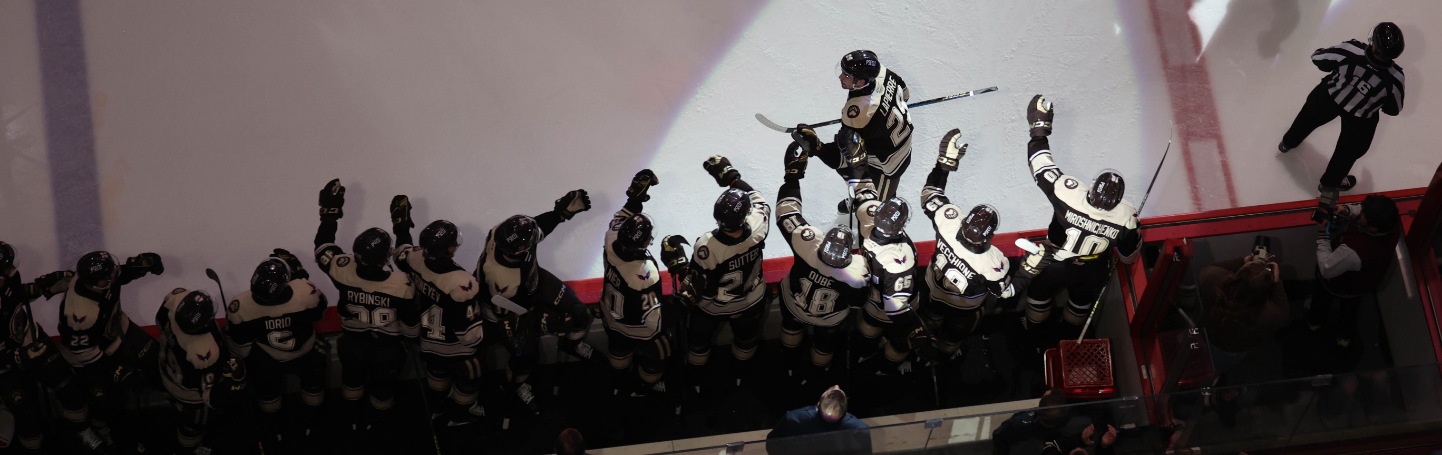Hershey Bears high fiving teammates
