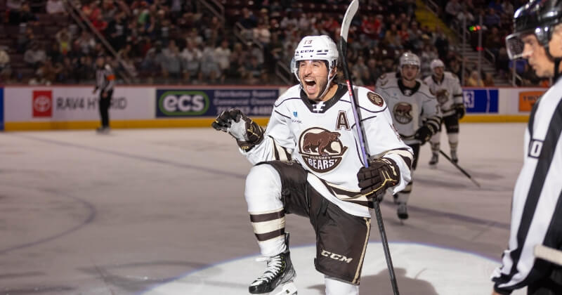 hershey bears chocolate drip jersey