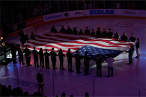 giant flag at Bears game