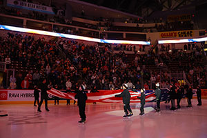 giant flag at Bears game