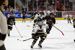 youth on the ice at Bears game