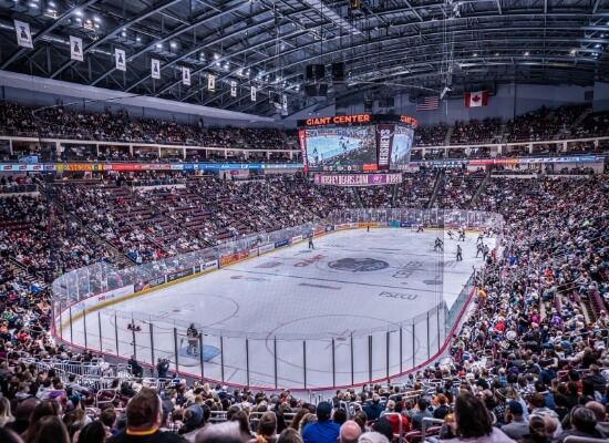 Hershey Bears Suite View Of Hockey