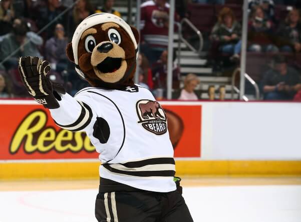 Hershey Bears