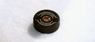 Hershey Bears Hockey Puck